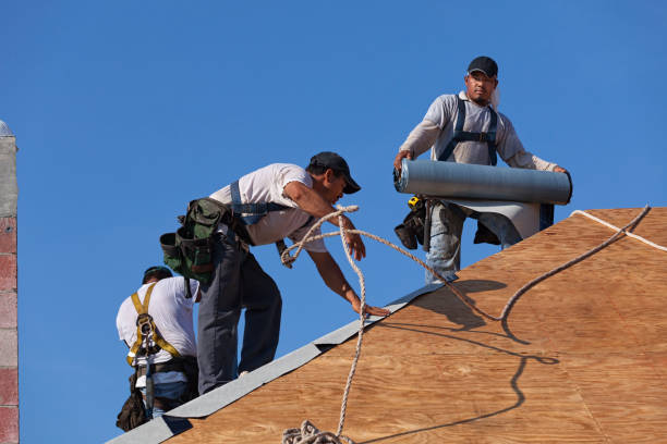 Best Metal Roofing Contractor  in Fairmont City, IL